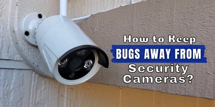 How to Keep Bugs Away from Security Cameras